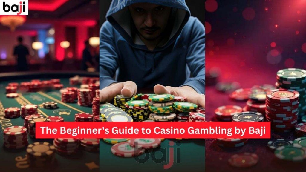 Beginner's Guide to Casino Gambling by Baji
