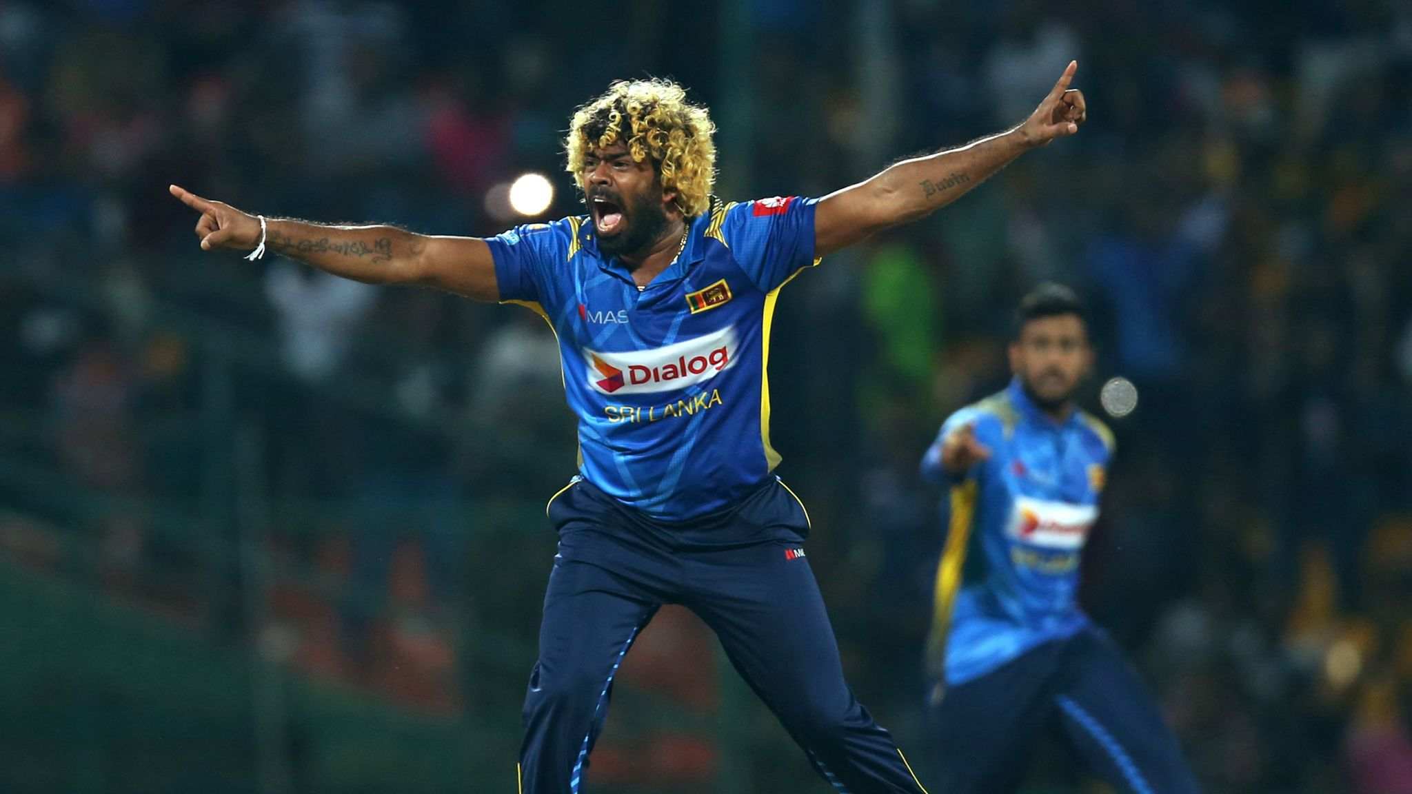 Bowlers with The Most Hat Tricks Cricket History